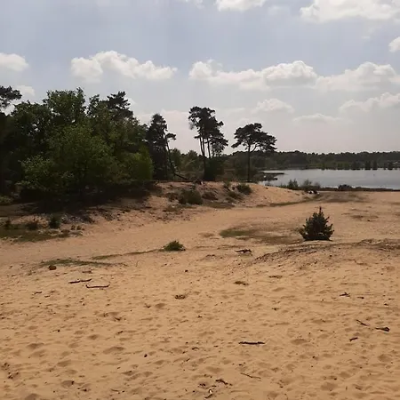 Safari Huisje Oisterwijk