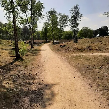 Safari Huisje Oisterwijk